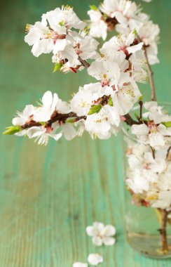 Bahar çiçeği (oryantal kiraz, elma ağacı) ahşap tablo
