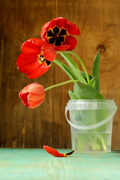 Flores de tulipas de primavera vermelhas em um fundo de madeira — Fotografia de Stock