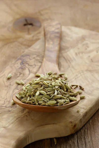 Macro shot fennel seeds, aromatic spice seasoning — Stock Photo, Image