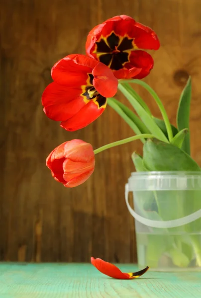 Červená jarní květiny tulipány na dřevěné pozadí — Stock fotografie