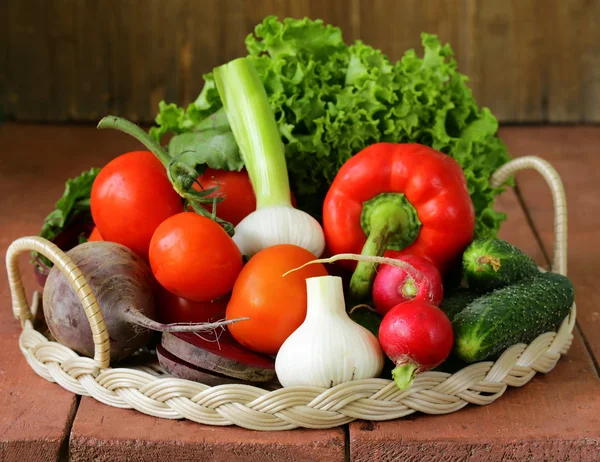 Fresh spring vegetables - tomatoes, peppers, garlic, radishes, beets — Stock Photo, Image