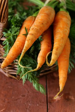 ahşap zemin üzerine yeşil yaprakları ile taze organik havuç