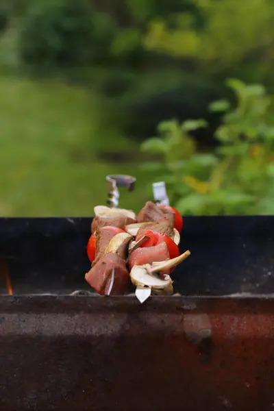 Meat roasted on the fire skewers (shashlik) with tomatoes and mushrooms — Stock Photo, Image