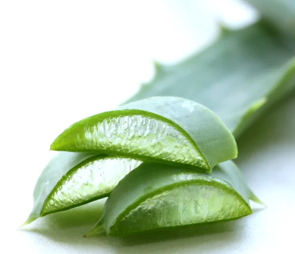 Čerstvé zelené listy z aloe vera rostlina — Stock fotografie