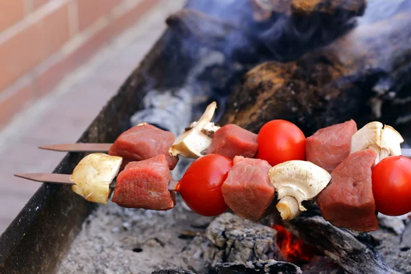 Meat roasted on the fire skewers (shashlik) with tomatoes and mushrooms — Stock Photo, Image