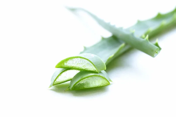 Świeża zieleń liści aloe vera roślin — Zdjęcie stockowe