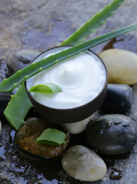 Lozione cosmetica alla panna con aloe vera fresca verde naturale — Foto Stock