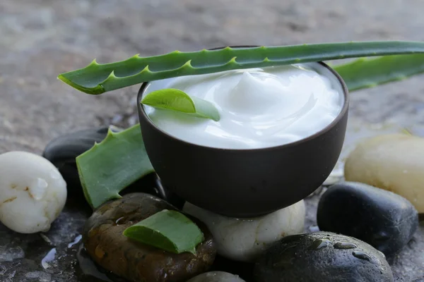 Loción de crema cosmética con aloe vera fresco verde natural — Foto de Stock