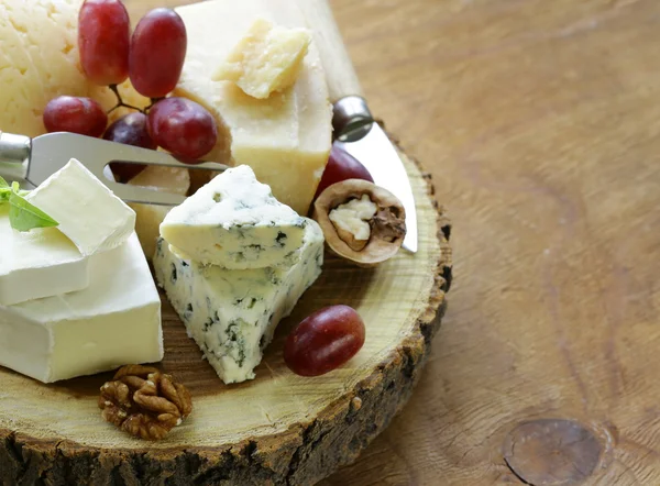 Painel de queijo com queijos variados (parmesão, brie, azul, cheddar ) — Fotografia de Stock