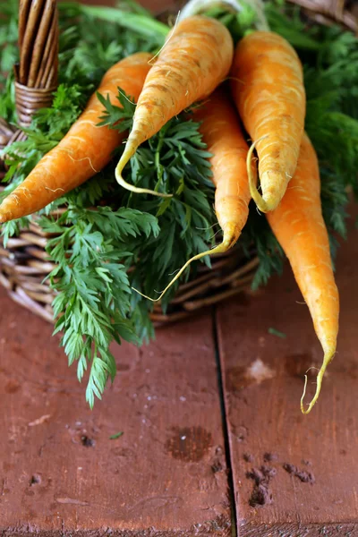 Carottes bio fraîches aux feuilles vertes sur fond bois — Photo