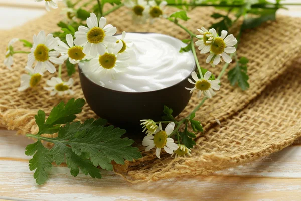 Loção creme cosmético natural com camomila verde — Fotografia de Stock