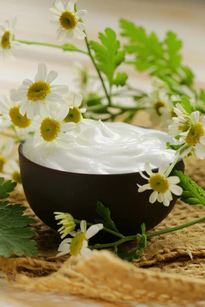 Loción de crema cosmética natural con manzanilla verde — Foto de Stock