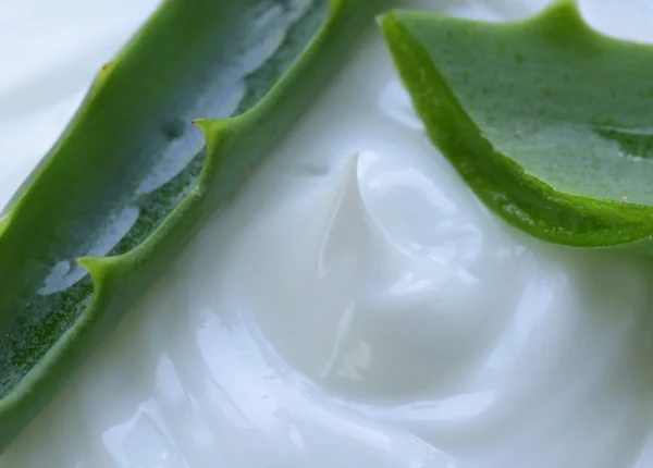 Loción de crema cosmética con aloe vera fresco verde natural —  Fotos de Stock