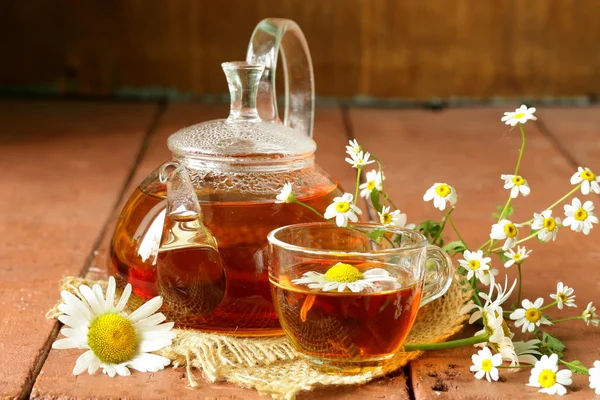 Organic herbal green tea with fresh chamomile flowers — Stock Photo, Image