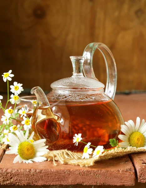 Organic herbal green tea with fresh chamomile flowers — Stock Photo, Image