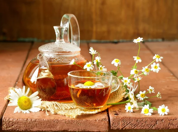 Organic herbal green tea with fresh chamomile flowers — Stock Photo, Image
