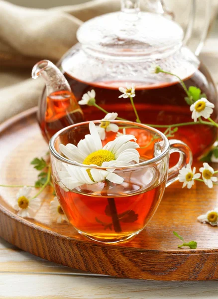 Organic herbal green tea with fresh chamomile flowers — Stock Photo, Image