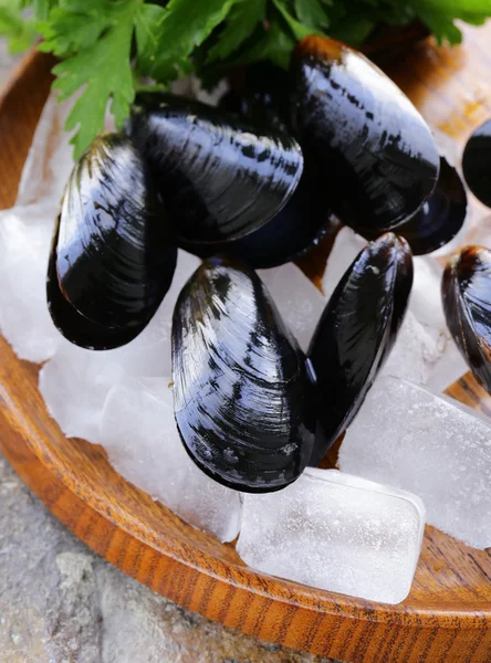 Fresh delicious seafood mussels with green parsley — Stock Photo, Image
