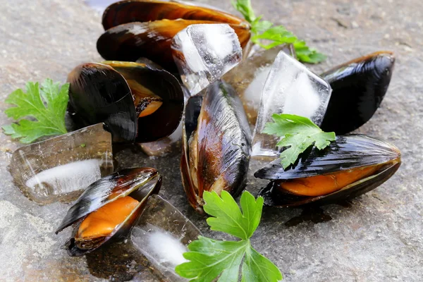 Свежие морепродукты мидии с зеленой петрушкой — стоковое фото