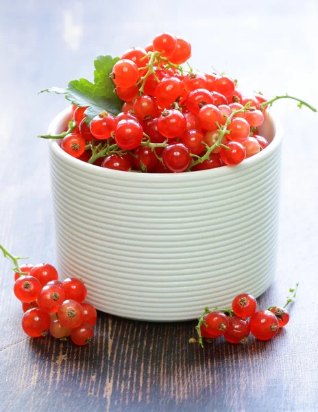 Ripe red currants in a white bowl — Stock Photo, Image