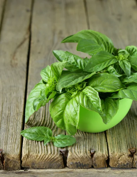 Fresh green basil on a wooden background — Stock Photo, Image