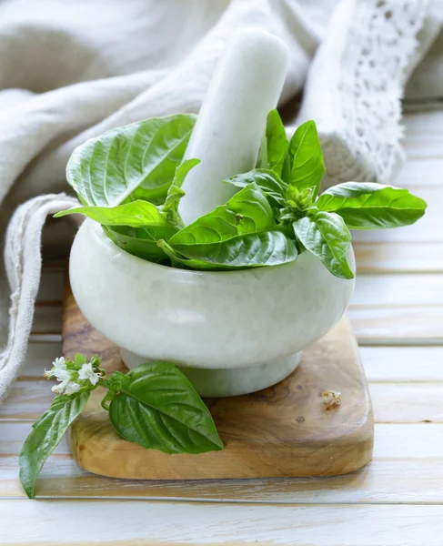 Fresh green basil leaves in a marble mortar — Stock Photo, Image