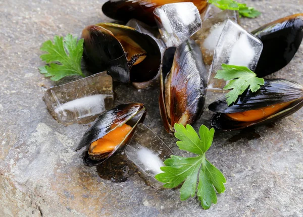 Свежие морепродукты мидии с зеленой петрушкой — стоковое фото