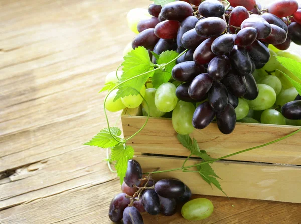 Ripe fresh sweet organic grapes in a wooden box — Stock Photo, Image