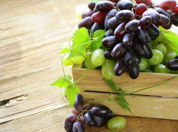 Uvas orgânicas doces maduras numa caixa de madeira — Fotografia de Stock