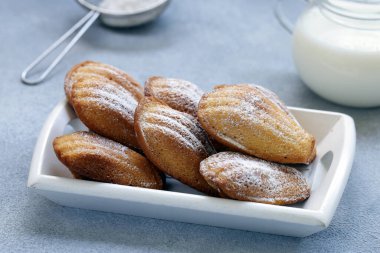 Lavantalı ve pudra şekerli Madeleine kurabiyeleri.