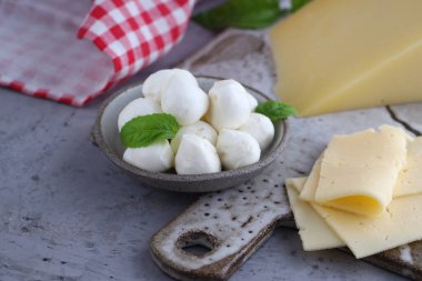 Seramik kasede organik süt ürünleri mozzarella peyniri