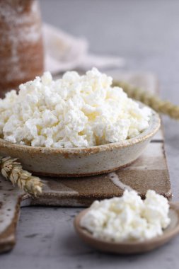 organik süt ürünleri doğal süzme peynir