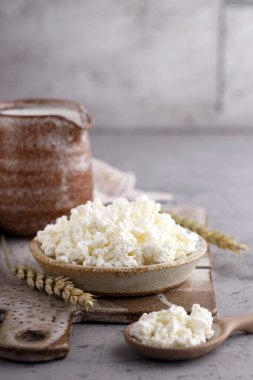 organik süt ürünleri doğal süzme peynir