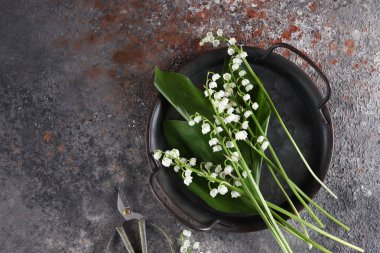 Güzel bahar çiçek lilyum vadi