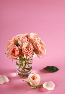 Pembe arka planda taze organik gül çiçekleri