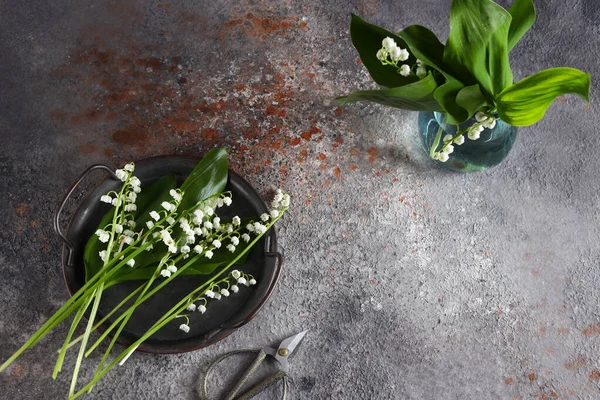 Prachtige Lente Bloemen Lelies Van Vallei — Stockfoto