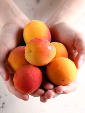 olgun organik meyveli kayısı.