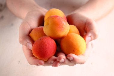 olgun organik meyveli kayısı.