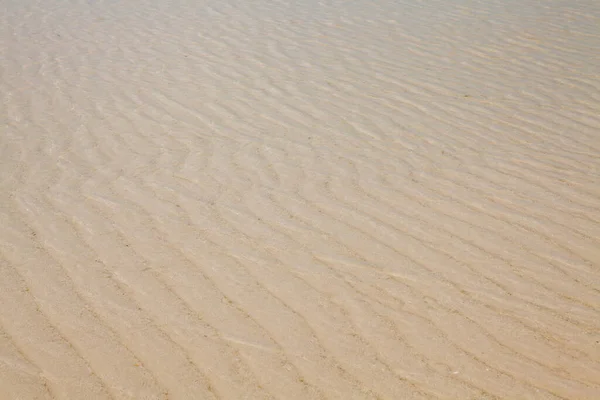 Fechamento Padrão Areia Uma Praia Verão — Fotografia de Stock