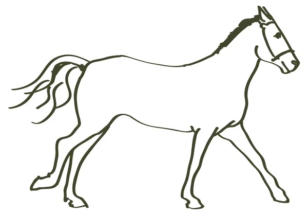 Hand getekend paard — Stockvector