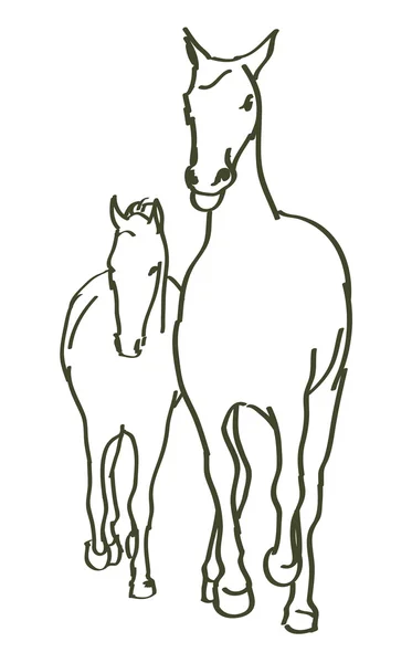 Cavalli disegnati a mano — Vettoriale Stock