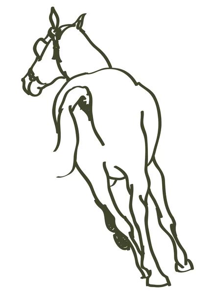 Hand getekend paard — Stockvector