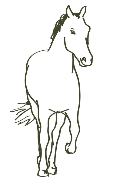 Cavalo desenhado à mão — Vetor de Stock