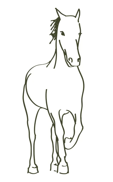 Cavallo disegnato a mano — Vettoriale Stock