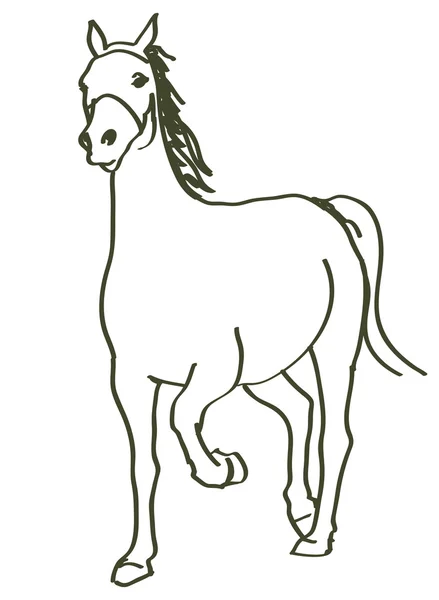 Ručně tažené koněm — Stockový vektor