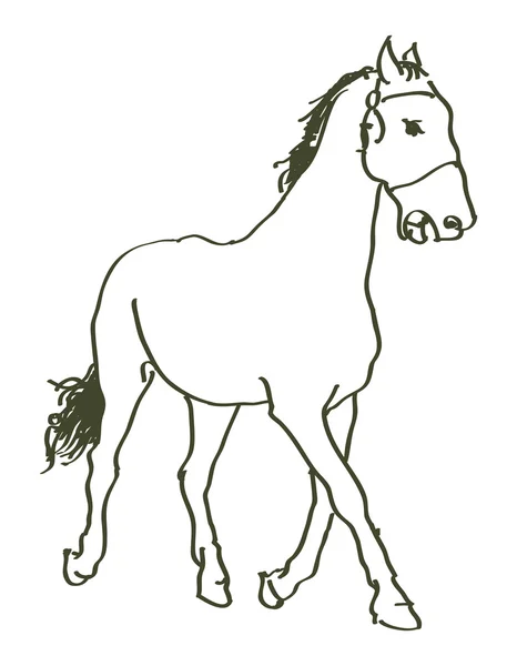 Handgezeichnetes Pferd — Stockvektor