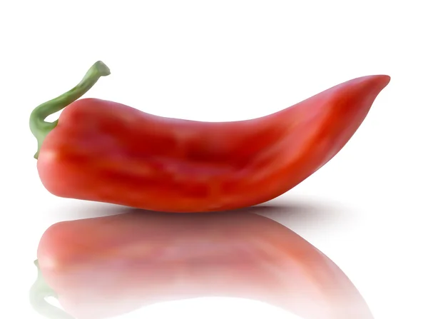 Ρεαλιστική κόκκινο πιπέρι — Διανυσματικό Αρχείο
