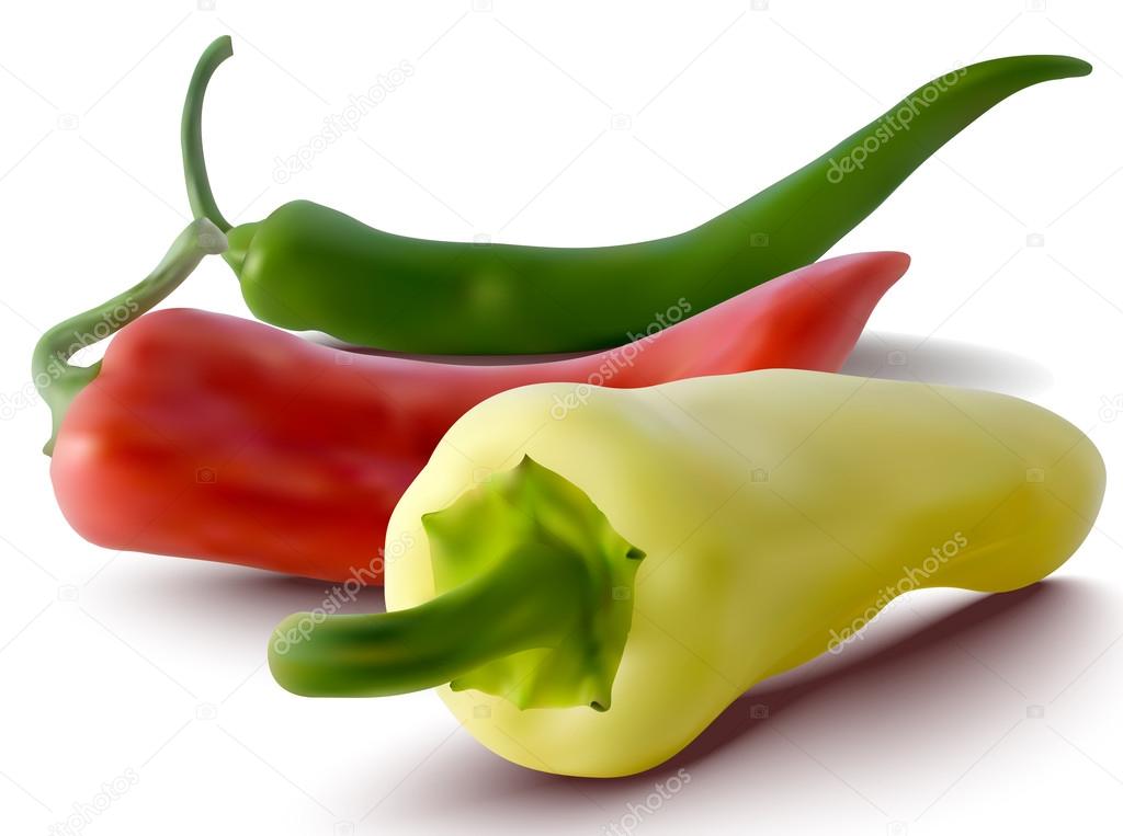 vector red, green and yellow peppers
