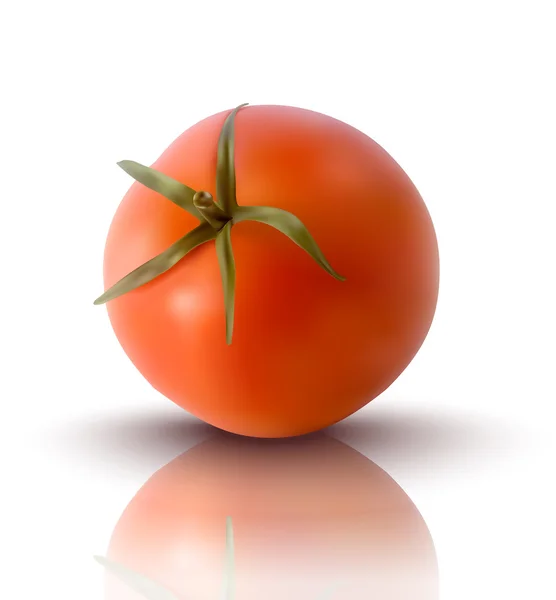 Ilustração vetorial de tomate vermelho —  Vetores de Stock
