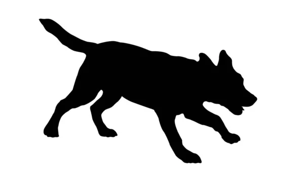 Τρέχει Κουτάβι Λαμπραντόρ Ριτρίβερ Μαύρη Σιλουέτα Σκύλου Ζώα Συντροφιάς Απομονωμένο — Διανυσματικό Αρχείο